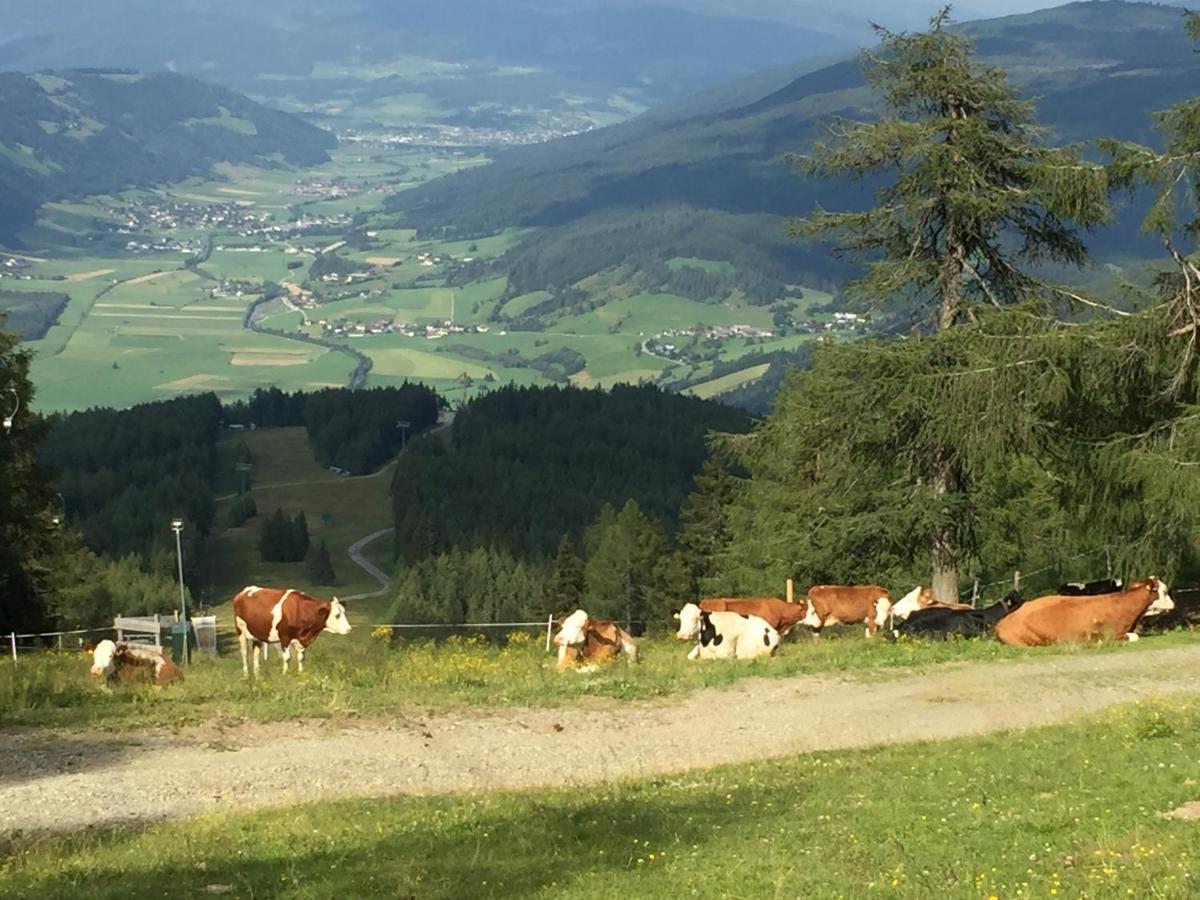 Landhaus Lungau 호텔 상트미카엘임룽가우 외부 사진