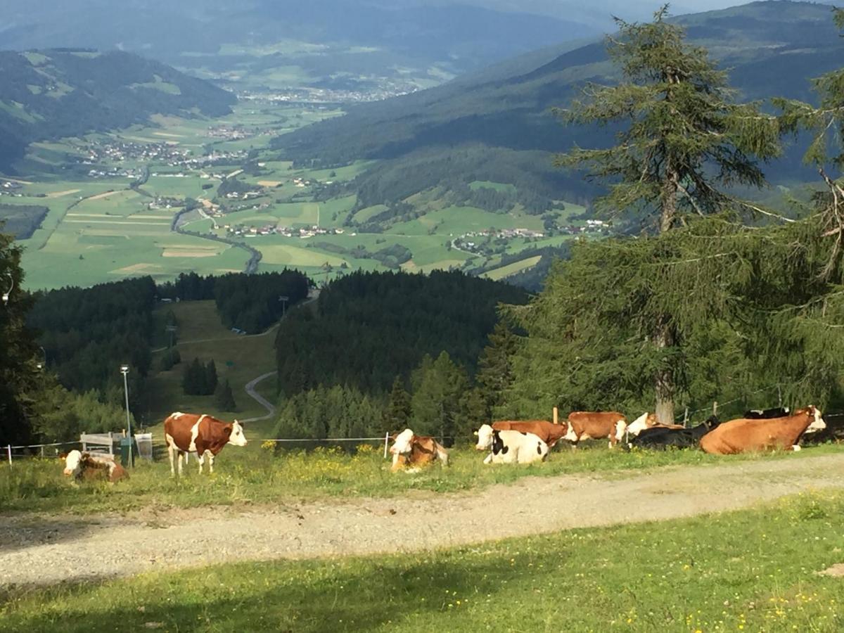 Landhaus Lungau 상트미카엘임룽가우 외부 사진